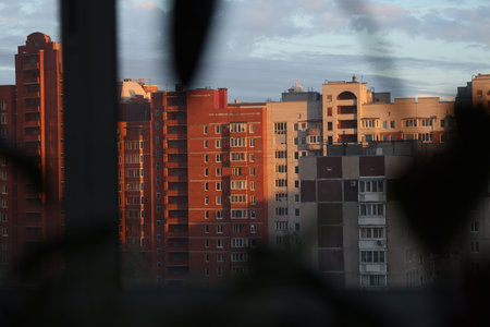 Urban Skyline Beautifully Captured at Sunset, Featuring a Stunning Plant Silhouette