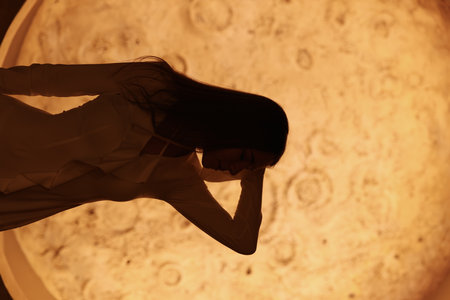 A Stunning Silhouette Set Against a Captivating and Dramatic Moonlit Background Scene