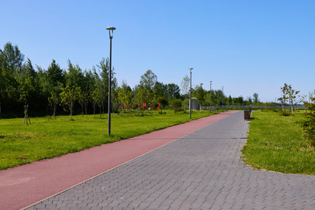 The Sunny Park Pathway is Surrounded by Lush Greenery, Making it a Perfect Escape
