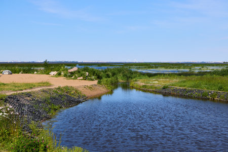 A serene landscape with vast water bodies and lush greenery under a clear blue skyの写真素材