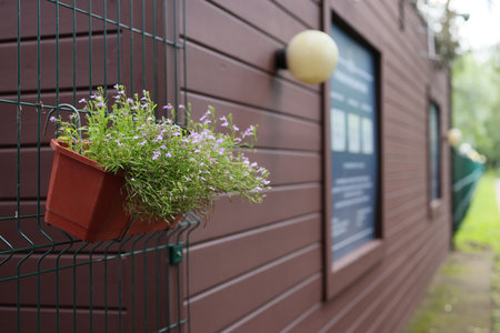 A Charming Outdoor Planter Beautifully Positioned Against a Rustic Wooden Wall Backgroundの写真素材
