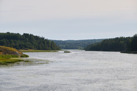 A Serene River Landscape Displaying Lush Greenery Combined with Calm and Tranquil Waters