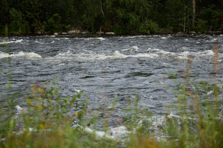 A River Flowing, Surrounded by Lush and Vibrant Greenery All Around