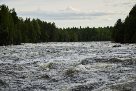 A Raging River is Beautifully Surrounded by Lush Green Trees and Scenic Landscapes