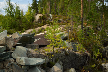 A Serene Rocky Landscape Beautifully Surrounded by a Lush, Vibrant Forest of Greeneryの写真素材