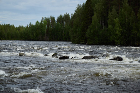 Raging River Flowing Through a Lush Green Forest An Incredible Display of Natures Powerの写真素材