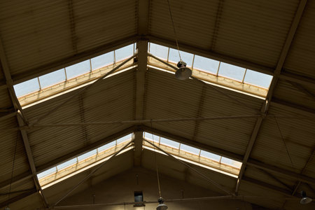 An Industrial Roof Featuring Abundant Natural Light for Enhanced Aesthetic Appeal and Function