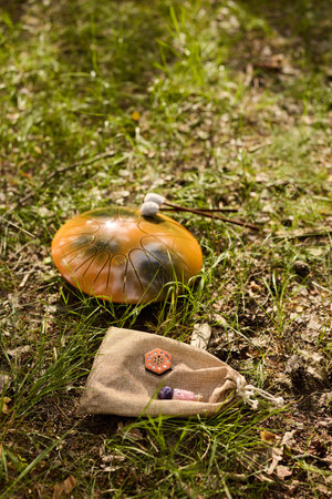 Fabric Pouch Positioned on a Vibrant Forest Floor