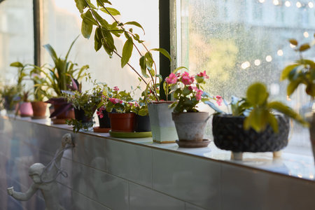 A Collection of Vibrant Indoor Plants Placed on a Bright and Sunlit Windowsill for Aesthetic Appeal