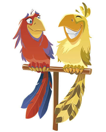 Image of two colored smiling parrotsのイラスト素材