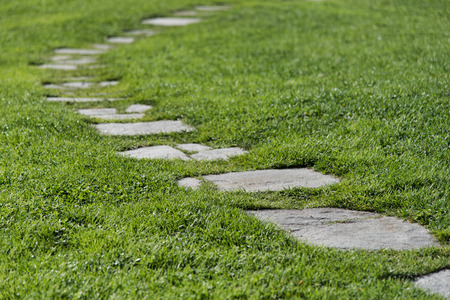 a stone path through a green grass, green nature backgroundの写真素材