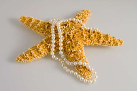 Starfish from the bottom of the Ocean surrounded by Pearlsの写真素材