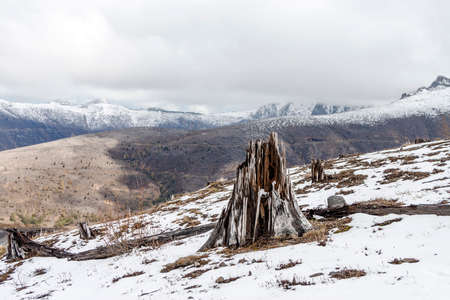 Mount Saint Helenの写真素材