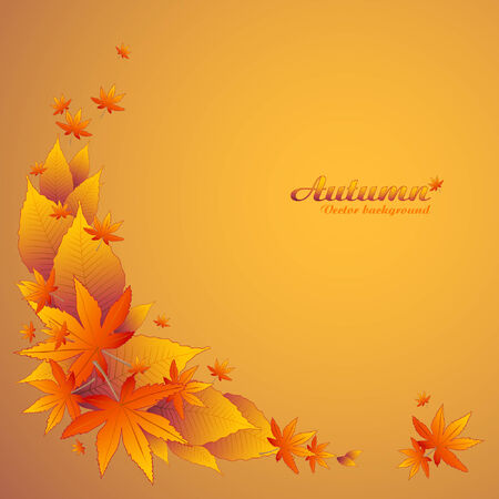 Autumn.   background in yellow.のイラスト素材