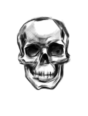 Skull  Hand drawn  Vector のイラスト素材