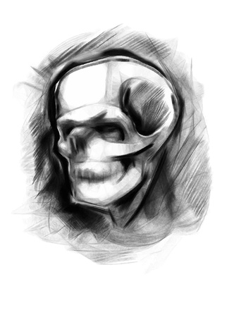 Skull  Hand drawn  Vector のイラスト素材