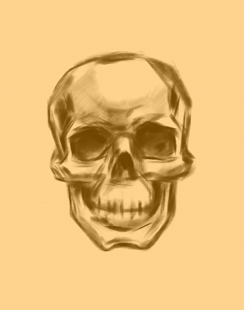 Skull  Hand drawn  Vector のイラスト素材