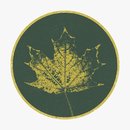 Vector background  design  Leaf  Autumn のイラスト素材