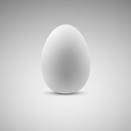 Egg. Realistic Vector illustration  のイラスト素材