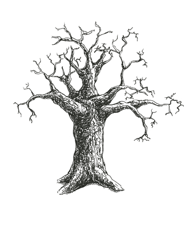 Tree vector illustration design. eps8のイラスト素材