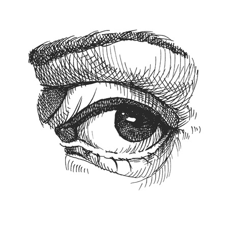 Eye. Realistic vector illustration. Hand drawn. Eps8のイラスト素材
