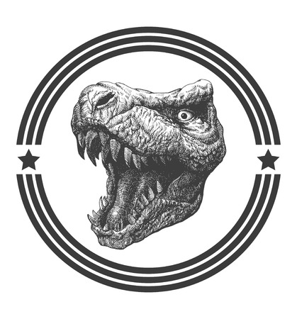 Tyrannosaurus Dinosaur . Hand drawn.のイラスト素材
