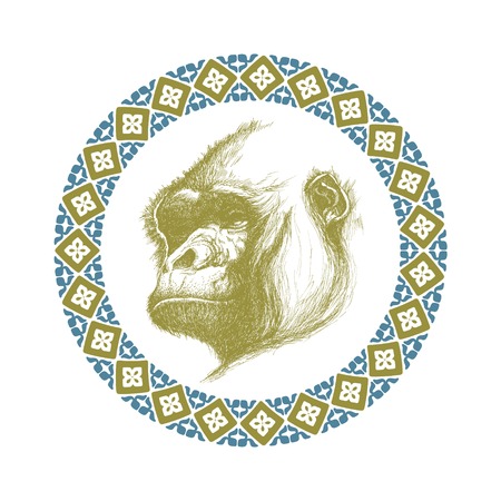 hand drawn gorilla realistic のイラスト素材