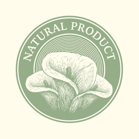 food design over white backgroundのイラスト素材