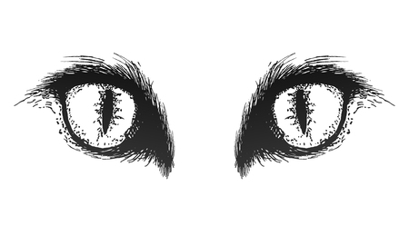 Hand drawn cat eyes. Vector eps 10のイラスト素材