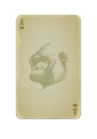 Poker card vector with gorilla eps10のイラスト素材