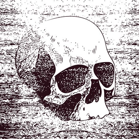 Vector white skull in grunge design styleのイラスト素材
