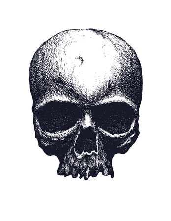 Black and white human skull. Hand drawn vector illustrationのイラスト素材
