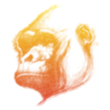 Monkey Face Hand drawn Vector illustration.のイラスト素材