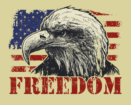 American Bald Eagle and Flag A sketchy bald eagle over an abstract, stylized American flag.のイラスト素材