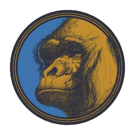 Gorilla Head Mascot Emblem. Vector illustration.のイラスト素材