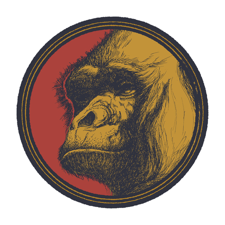 Gorilla Head Mascot Emblem. Vector illustration.のイラスト素材