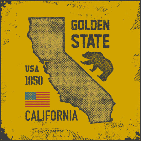California t-shirt with grizzly bear.のイラスト素材