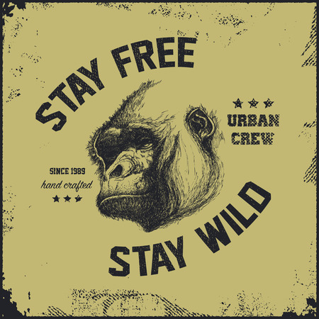Gorilla head Hand drawn Vector illustration.のイラスト素材