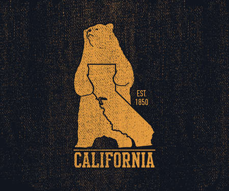 California t-shirt with grizzly bear. Vector illustrationの写真素材