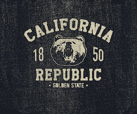 California t-shirt with grizzly bear head. Vector illustrationの写真素材