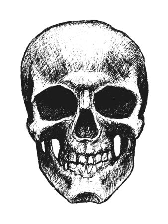 Vector hand drawn skull. Element for your design.のイラスト素材