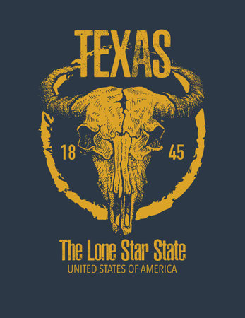 Texas buffalo tee print graphic. Vector illustration.のイラスト素材