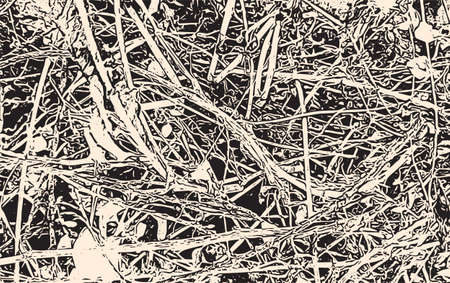 Natural organic texture. Element for your design. Vector illustration.のイラスト素材
