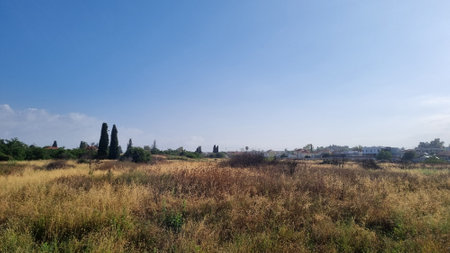 Countryside landscape. Beautiful typical countryside summer landscape.の写真素材