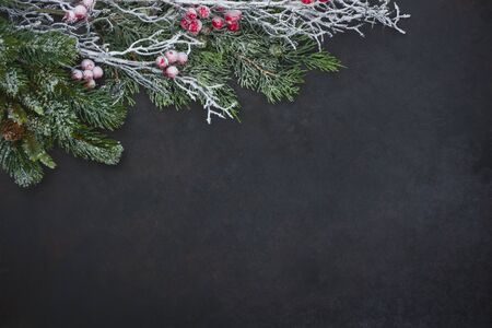 Winter decoration background with snowy fir tree branch at topの写真素材