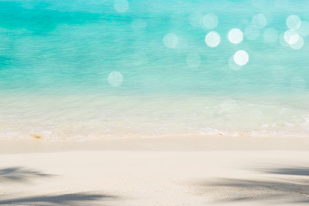 Beautiful sandy beach with palm leaf shadows and lens flareの写真素材