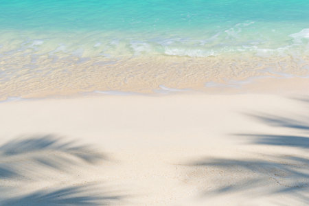 Tropical beach with white sand, sea and palm leaf shadowsの写真素材
