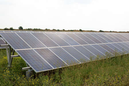 Solar panels on green grass field, close up