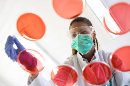 Young scientist puts sample with pipette close upの写真素材