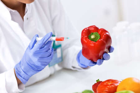 Scientist putting new sample to vegetables and cheking results at clinicの写真素材